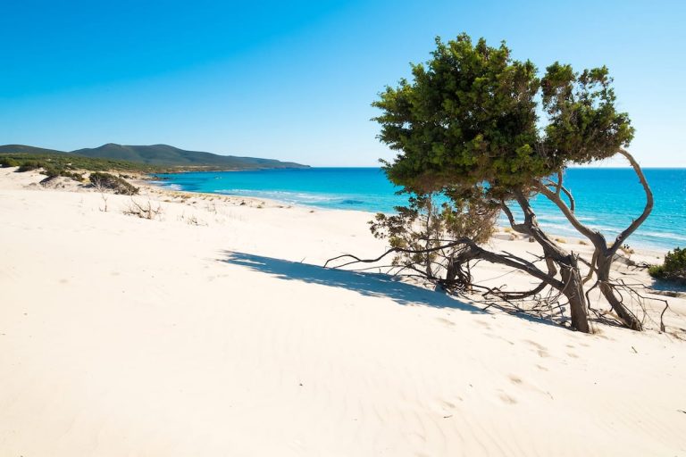 Porto Pino Guide Where To Stay Things To Do Where To Eat 🏖️sardinian Beaches 1717